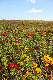 《塞尔达传说：御天神剑HD》“命运的浪漫”宣传片 